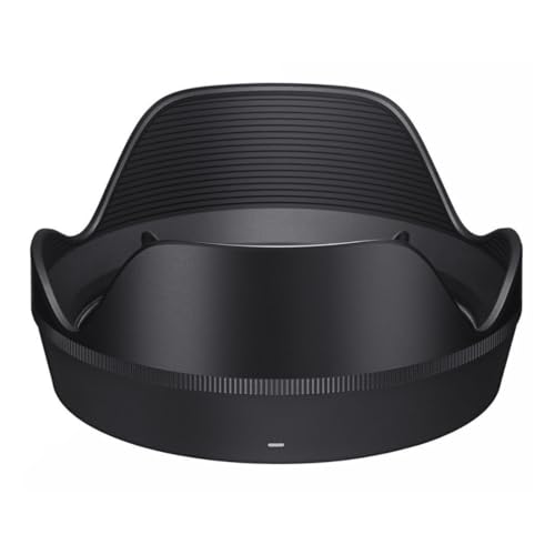 Sigma 28-45mm f/1.8 DG DN Art Lens (Sony E)