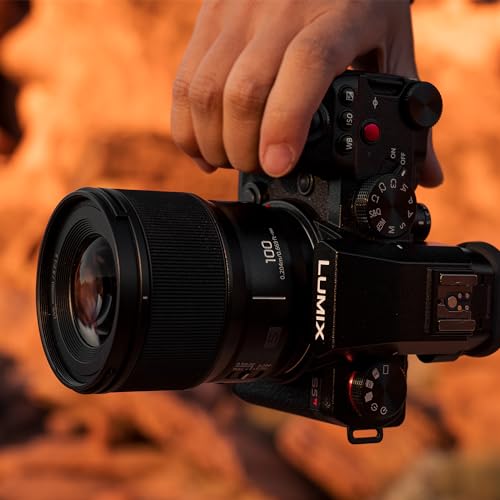 Panasonic Lumix S 100mm f/2.8 Macro Lens