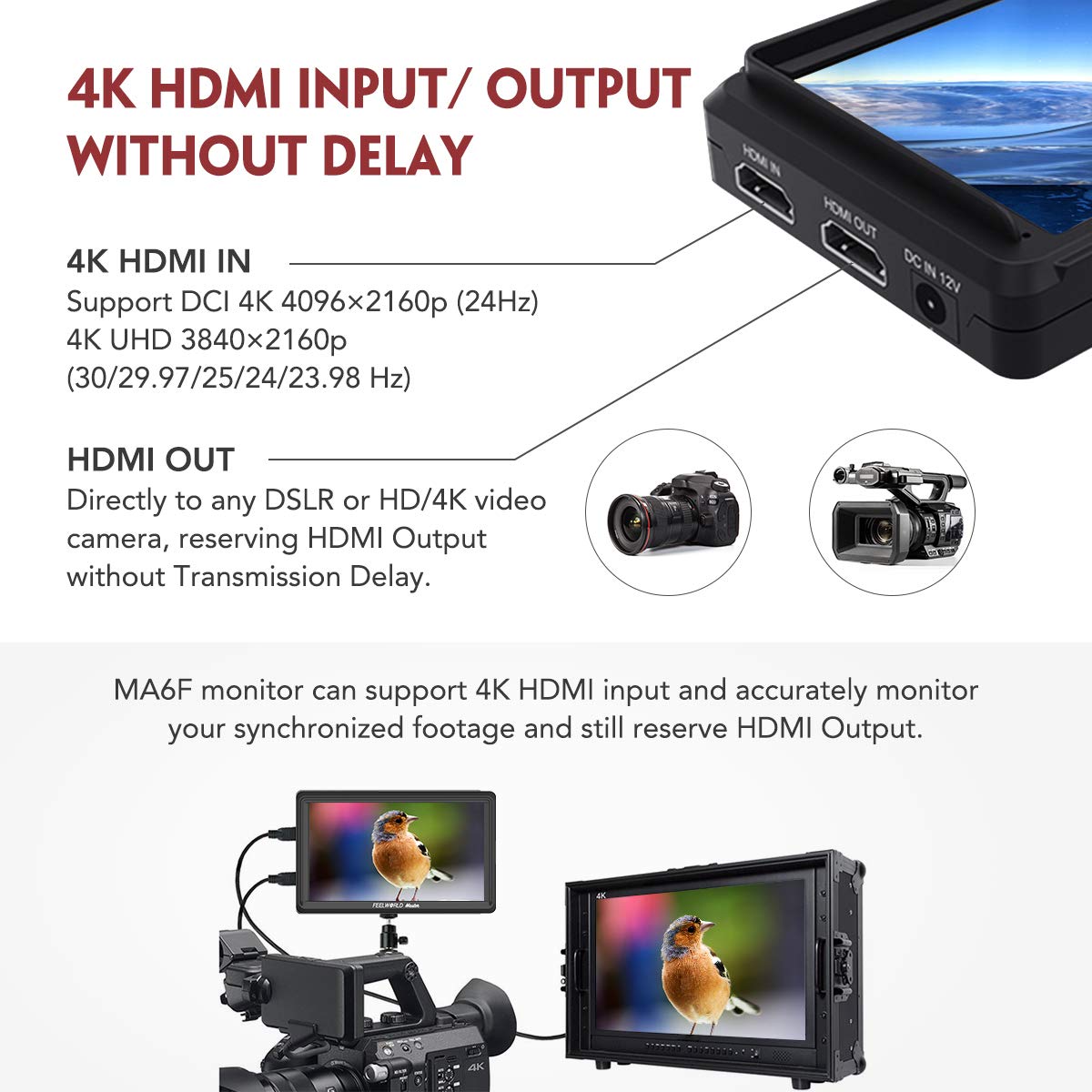 Feelworld Master MA6F 5.5" DSLR Monitor 4K HDMI 8.4V DC in/Out, Full HD 1920x720p LCD Camera Field Monitor Tilt Arm Included