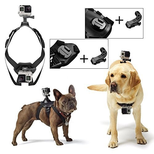 ULTIMAXX Dog Fetch with 2 J-Hooks for Go-Pro / GoPro / Action Camera