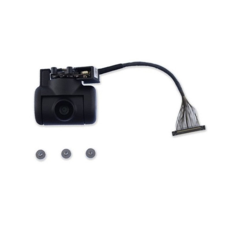 DJI Inspire 2 No.13 FPV Gimbal and Camera