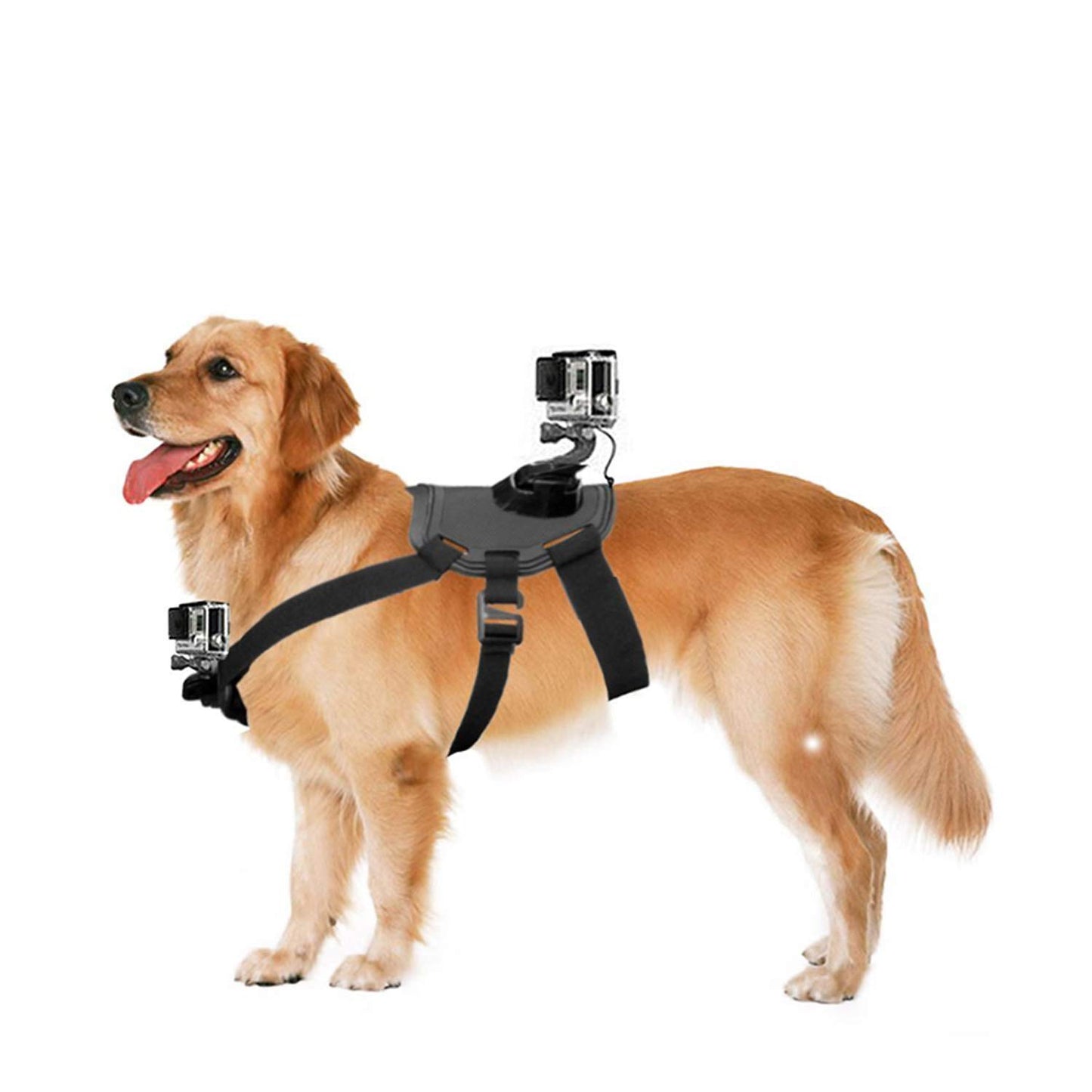 ULTIMAXX Dog Fetch with 2 J-Hooks for Go-Pro / GoPro / Action Camera